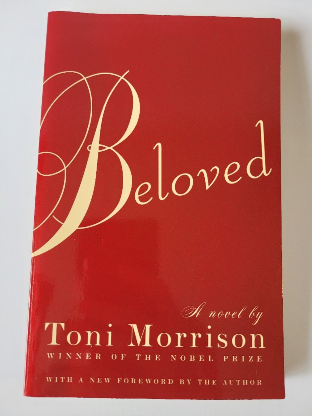 [2/$26] Beloved by Toni Morrison Vintage International Paperback Modern Classic